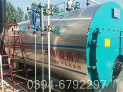 15吨蒸汽燃煤mk(中国)一站式服务官方网站