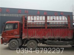 20t低氮蒸汽mk(中国)一站式服务官方网站