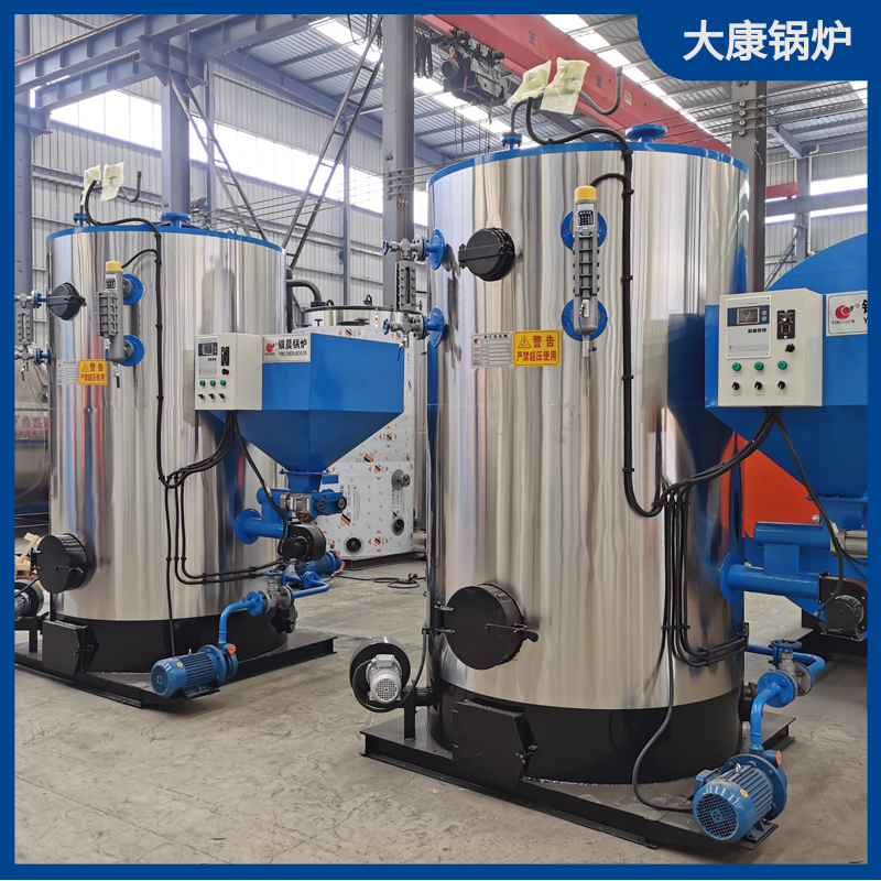 二吨生物质卧式mk(中国)一站式服务官方网站