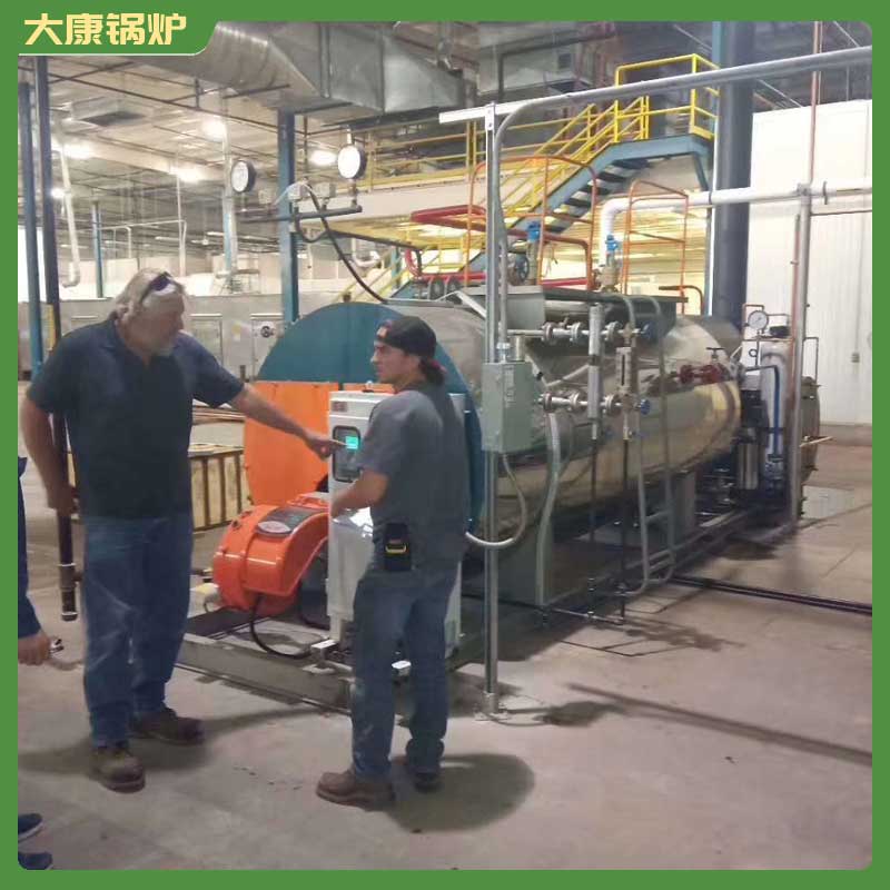 生物质蒸汽mk(中国)一站式服务官方网站价格