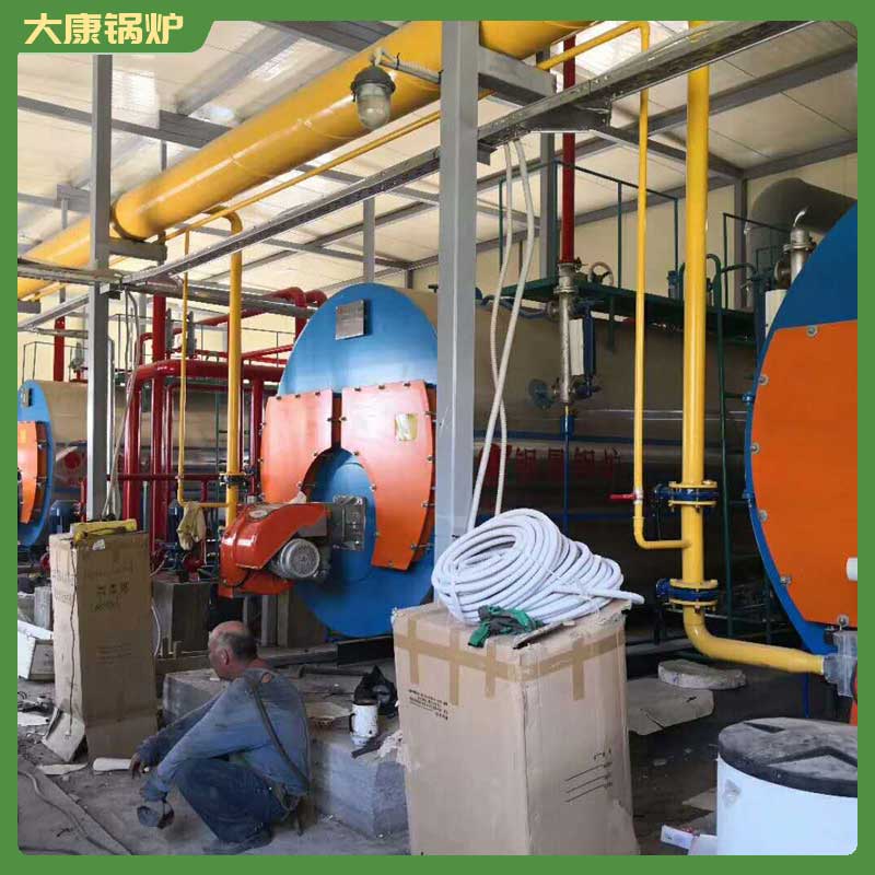 4吨生物质生物质mk(中国)一站式服务官方网站